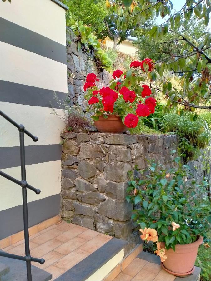 5 Terre - B&B La Giuditta - Λα Σπέτσια Εξωτερικό φωτογραφία