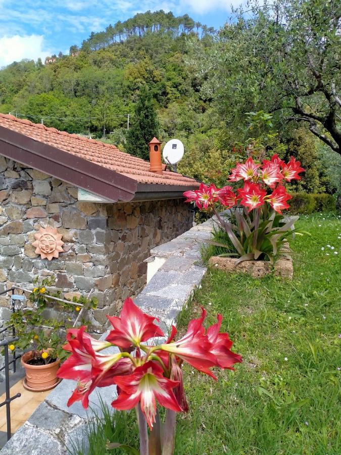 5 Terre - B&B La Giuditta - Λα Σπέτσια Εξωτερικό φωτογραφία